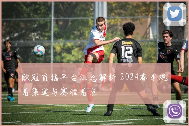 欧冠直播平台汇总解析 2024赛季观看渠道与赛程看点