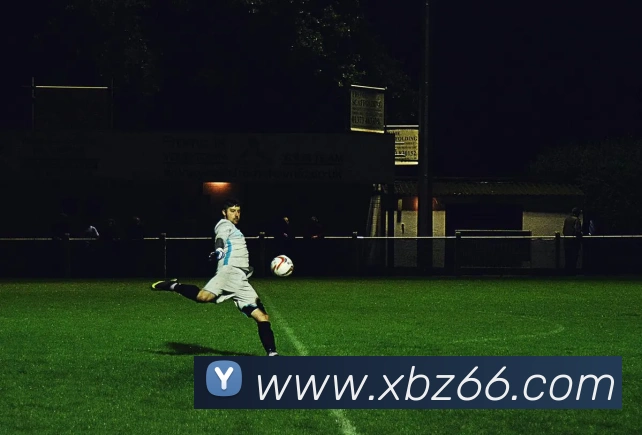 九游在线官方官网平台生态图